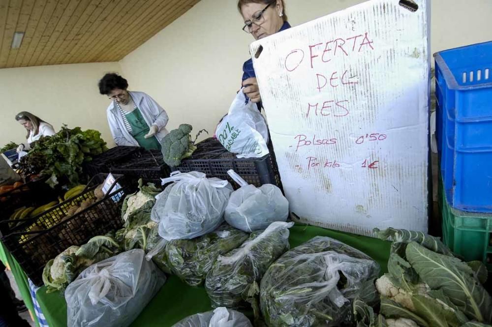 Mercado de berros a 1 euro en Ingenio