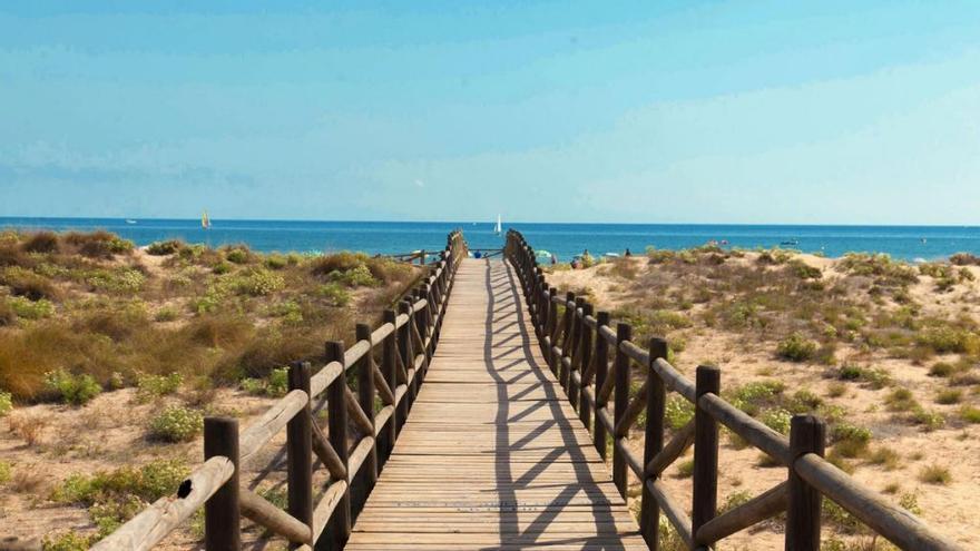 Gandia cuenta con más de siete kilómetros de costa de fina arena.