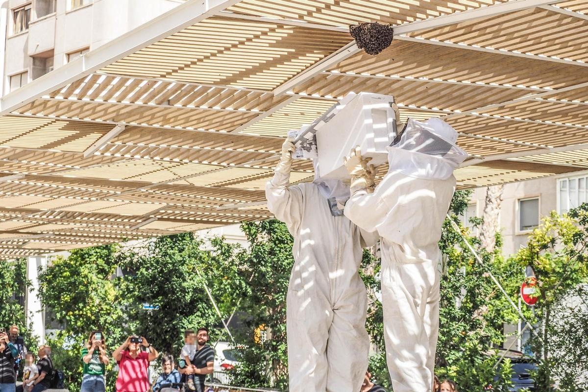 Retiran un enjambre de abejas en la plaza del Zapatero de Elda