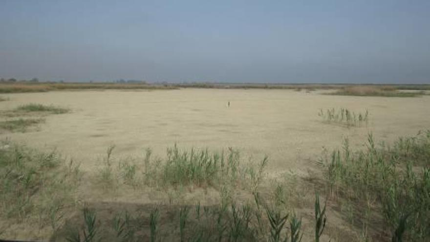 Aspecto Que presentan algunas de las lagunas de la Reserva de El Hondo vistas desde los observatorios «Limícolas» (izquierda) y «Puente del Niño» (derecha).