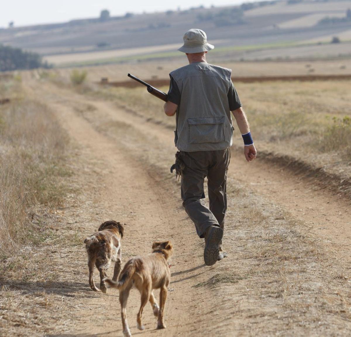 Un cazador zamorano con una percha de varias codornices. | ARCHIVO