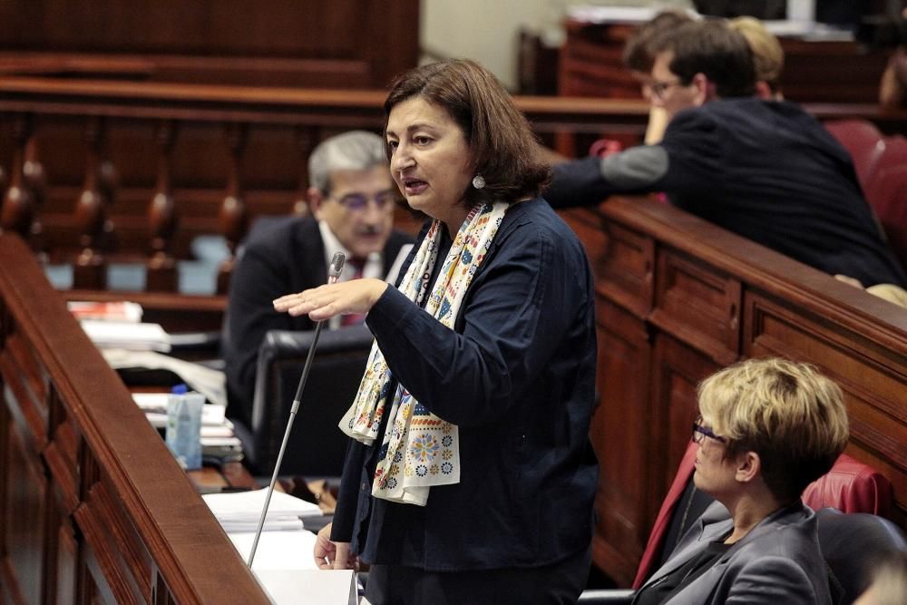 Pleno en el Parlamento de Canarias 11-02-2020  | 11/02/2020 | Fotógrafo: María Pisaca Gámez