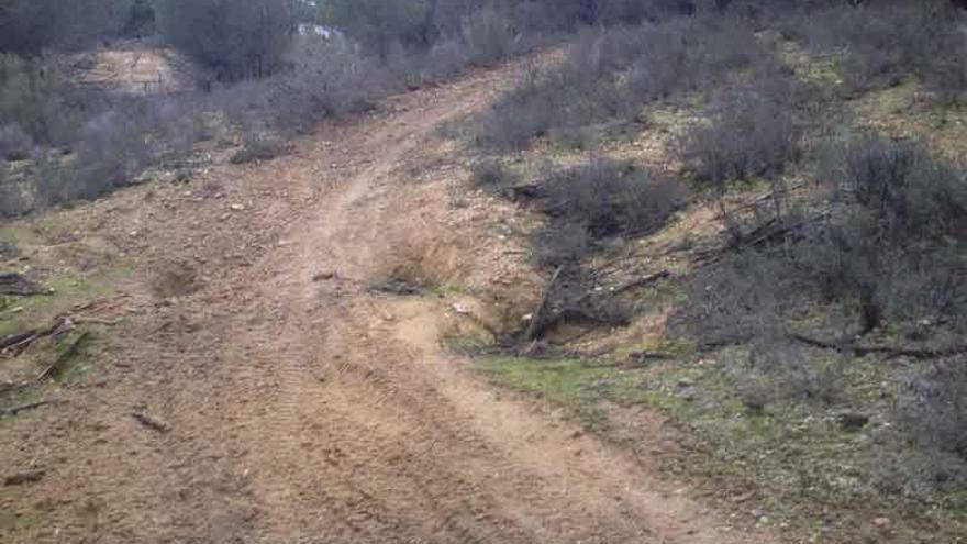 Circuito en un paraje natural creado por el paso frecuente de vehículos. Foto