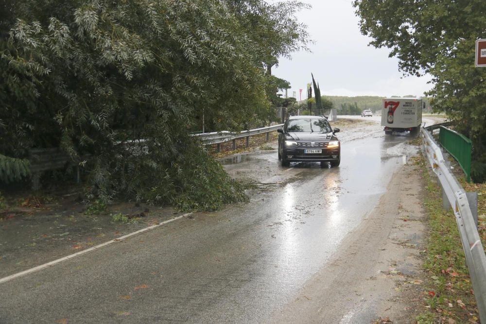 Temporal de llevant a les comarques gironines