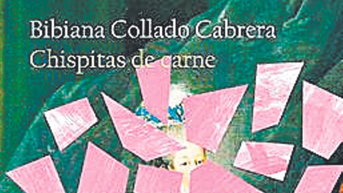 Chispitas de carne