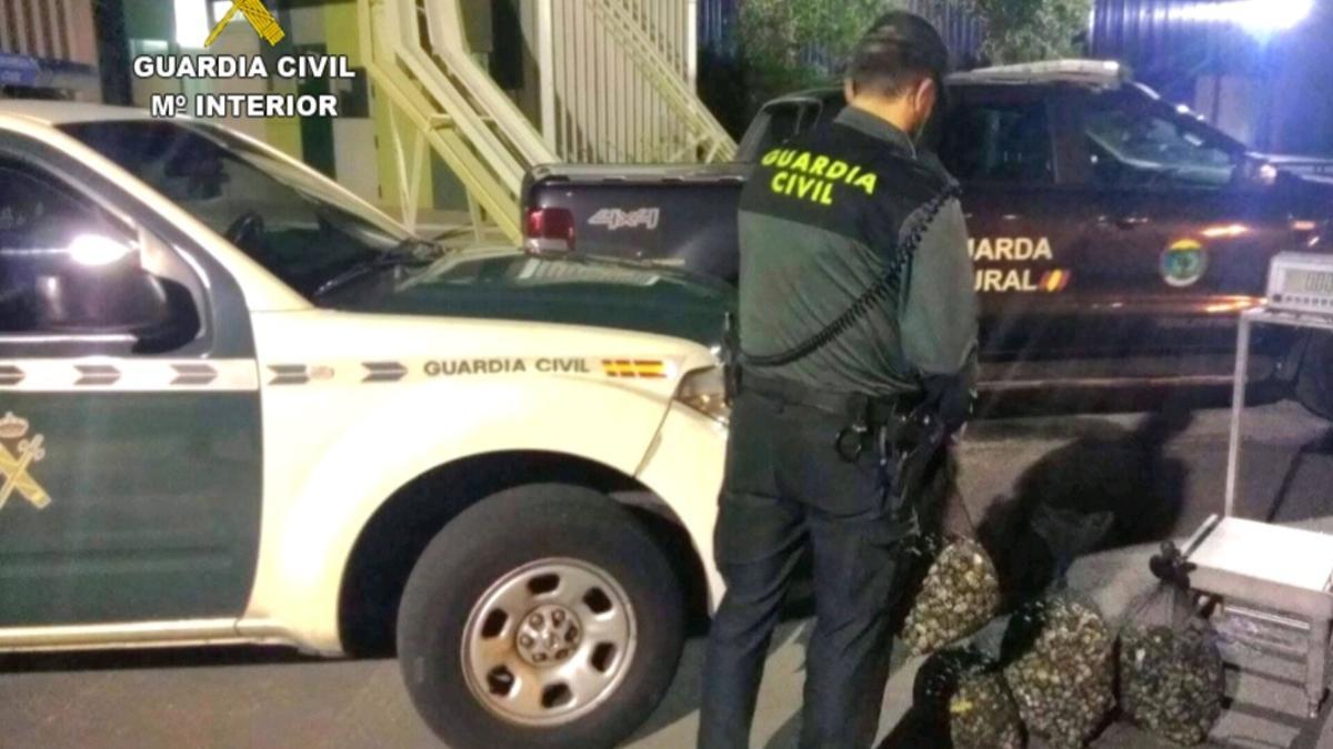 Un agente de la Guardia Civil junto a la almeja incautada.