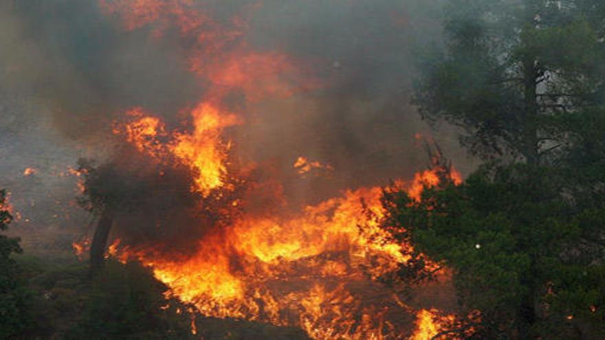 Varios focos de incendios forestales, cerca de Atenas.