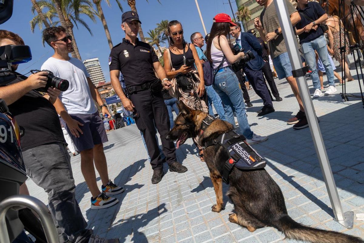 Exihibición de medios de la Policía en el Postiguet por la  "Operación Verano".