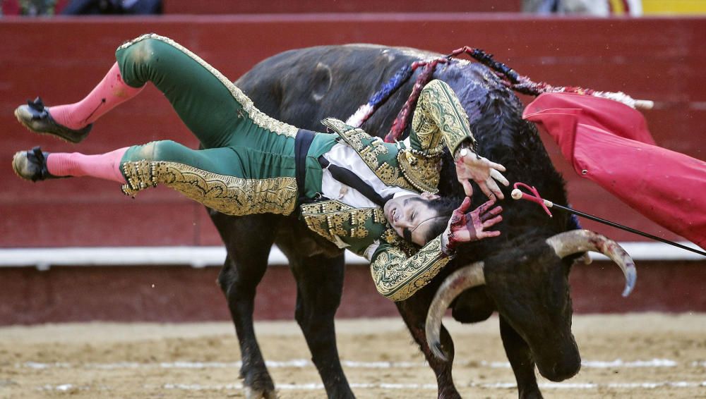 Espectacular cogida de Padilla en Valencia