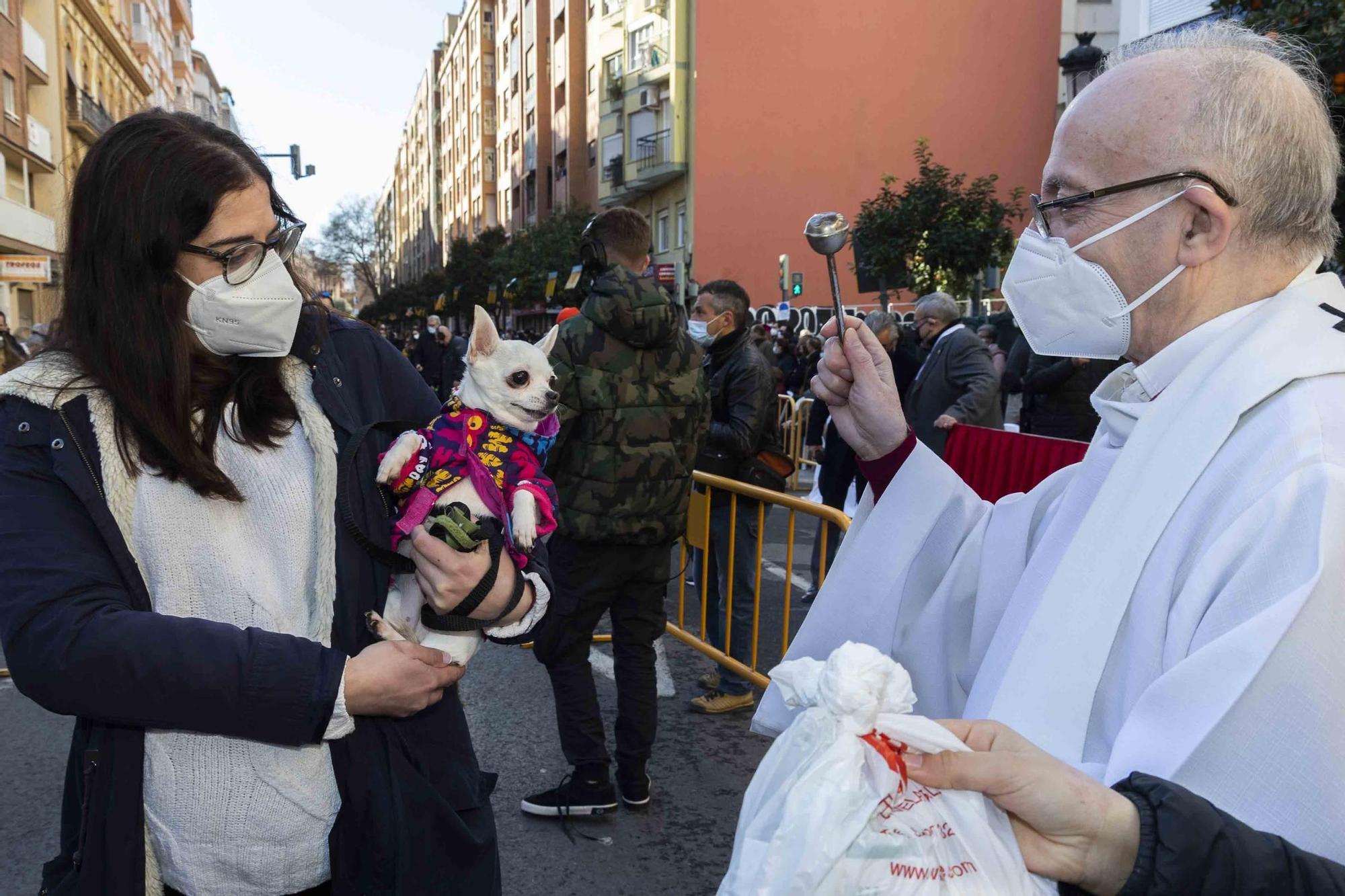 Búscate en la bendición de animales de Sant Antoni