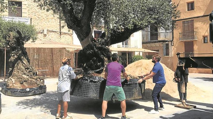 Sant Jordi recrea viejos oficios con artesanos de toda España