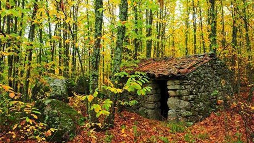 El &#039;Otoño Mágico&#039; del Valle del Ambroz estará en la cumbre mundial COP25