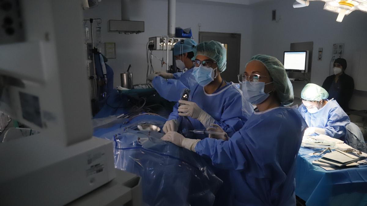 Profesionales sanitarios, desarrollando su labor en el hospital Reina Sofía.