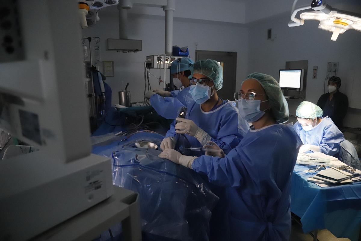 Profesionales sanitarios, desarrollando su labor en el hospital Reina Sofía.