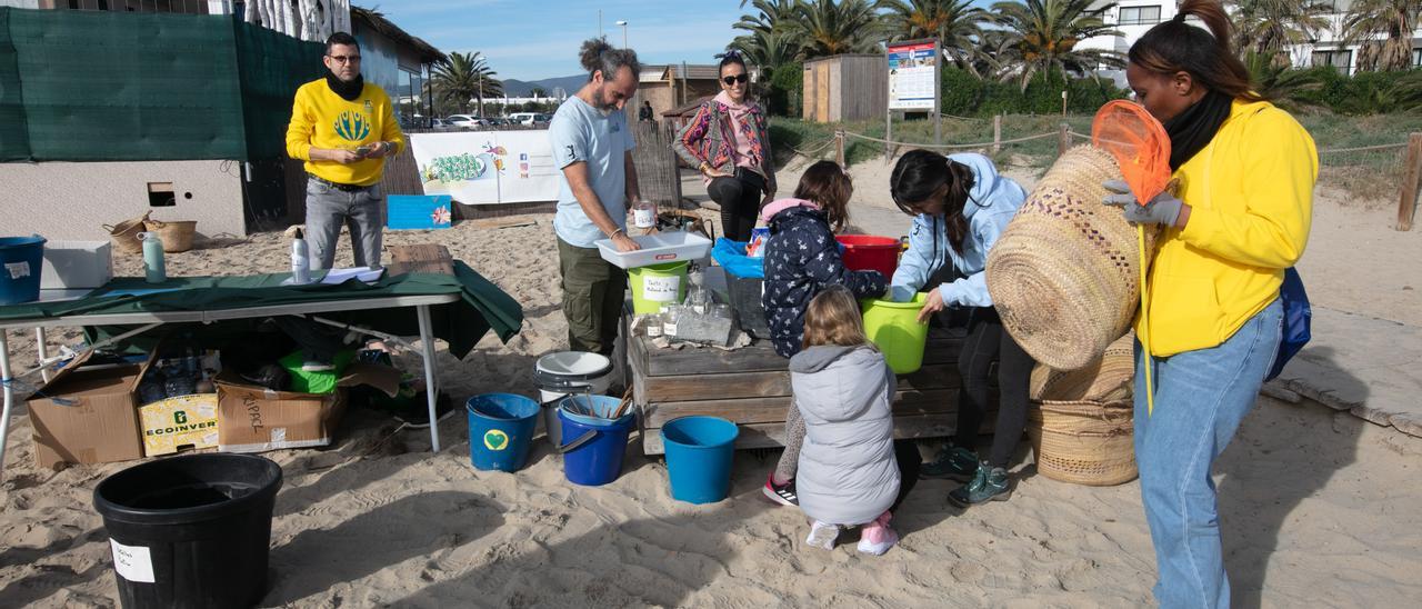 Medio Ambiente en Ibiza: La basura que no se ve en la arena - Diario de  Ibiza