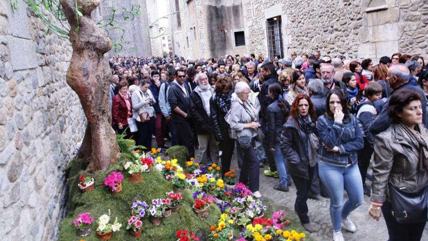 Una imatge d&#039;arxiu de Temps de Flors.