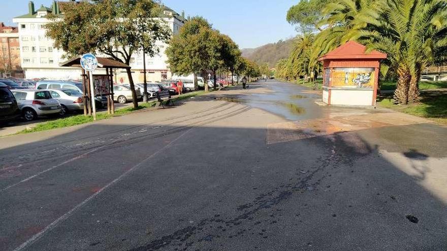 Langreo pide que no se de comida a los animales del parque García Lago para evitar la presencia de ratas