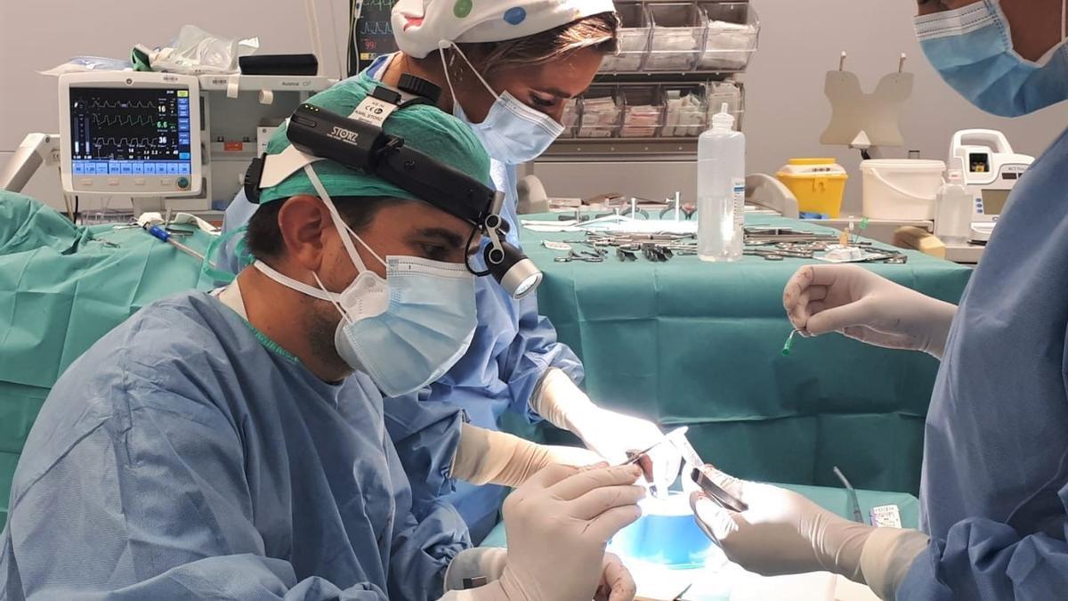 El doctor Aguilar preparando en quirófano una reconstrucción de nariz por deformidad nasal.