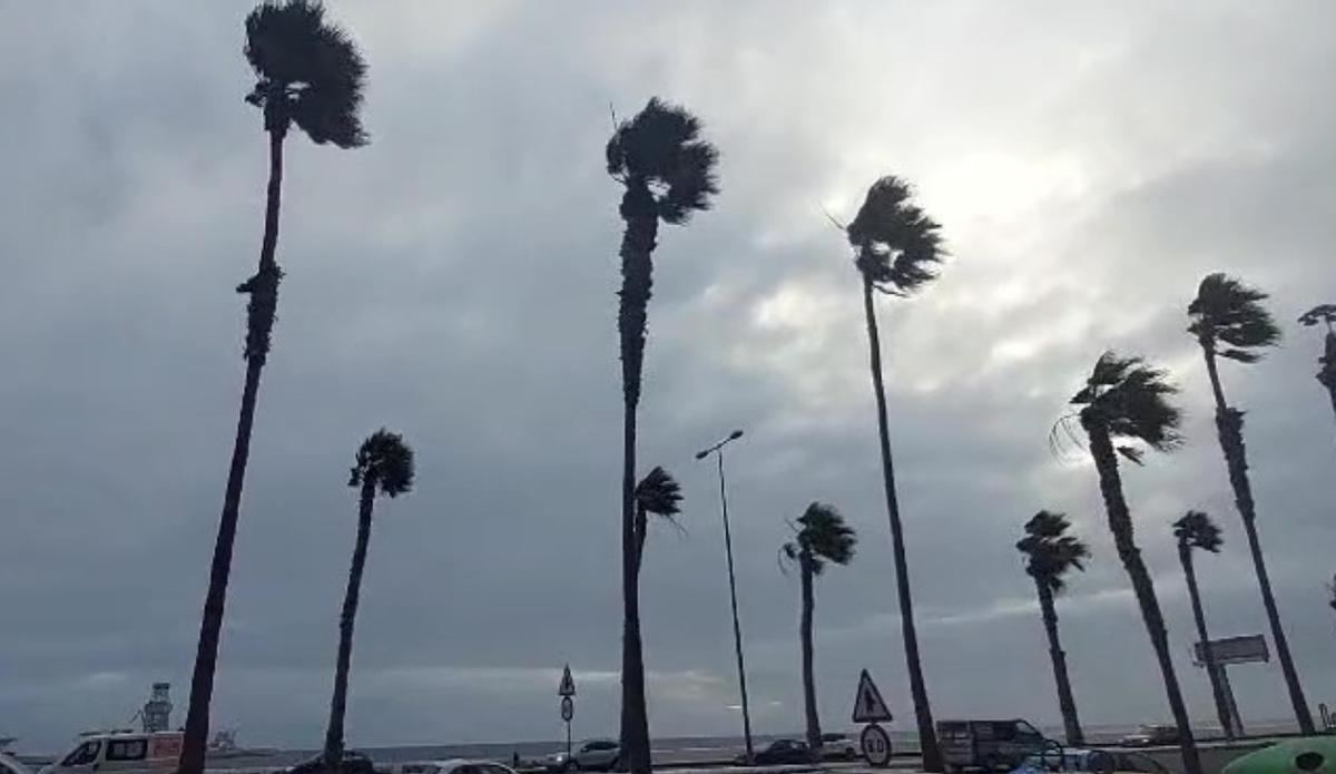 Los fuertes vientos y las lluvias azotan Canarias.