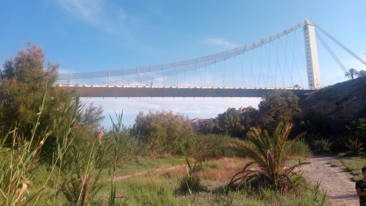 Pont del Bimil.lenari de Elche, en imagen de archivo