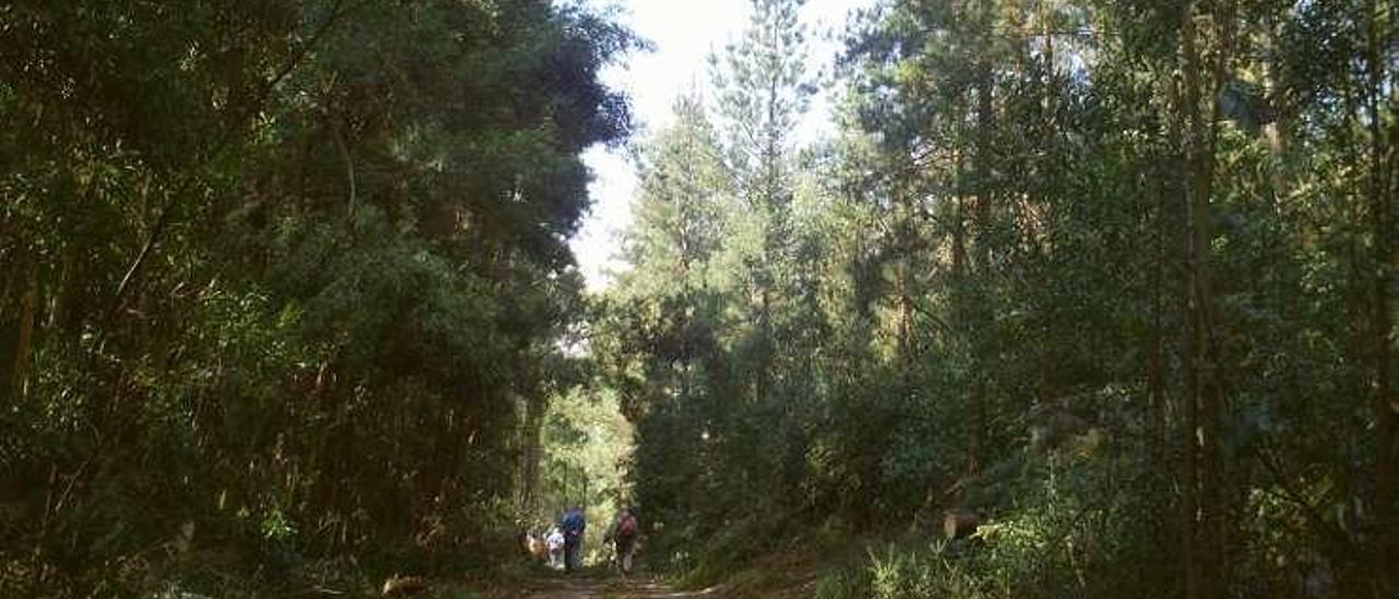 Senderistas en la ruta.