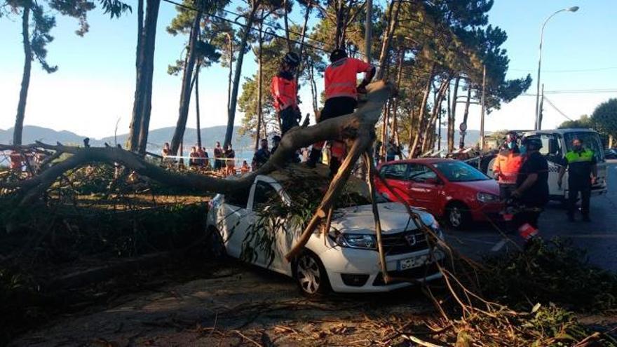 Heridas en Vigo tras caer sobre su coche una rama