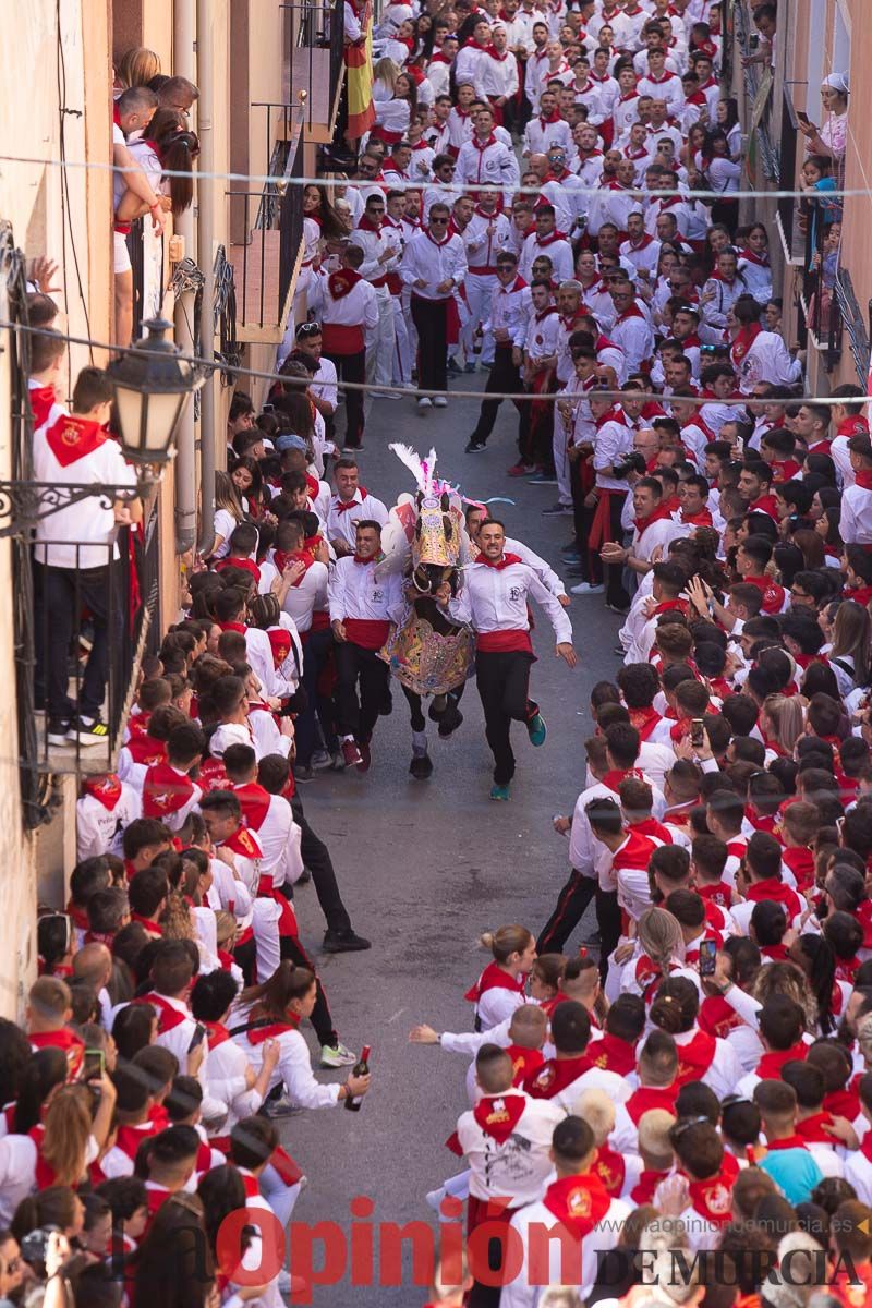 Caballos del Vino en la cuesta de la Simona