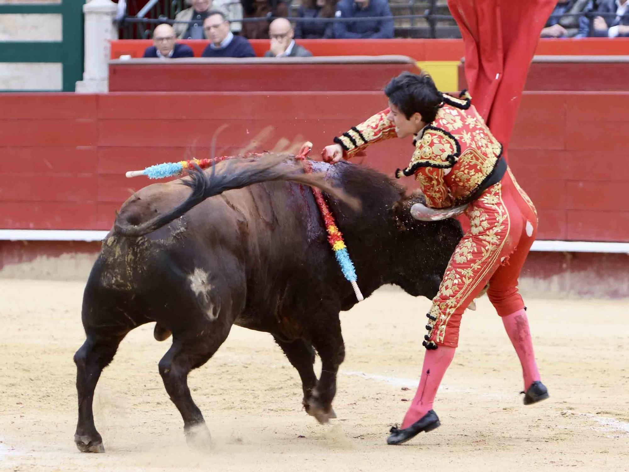 Valencia vive un fin de semana taurino alicantino