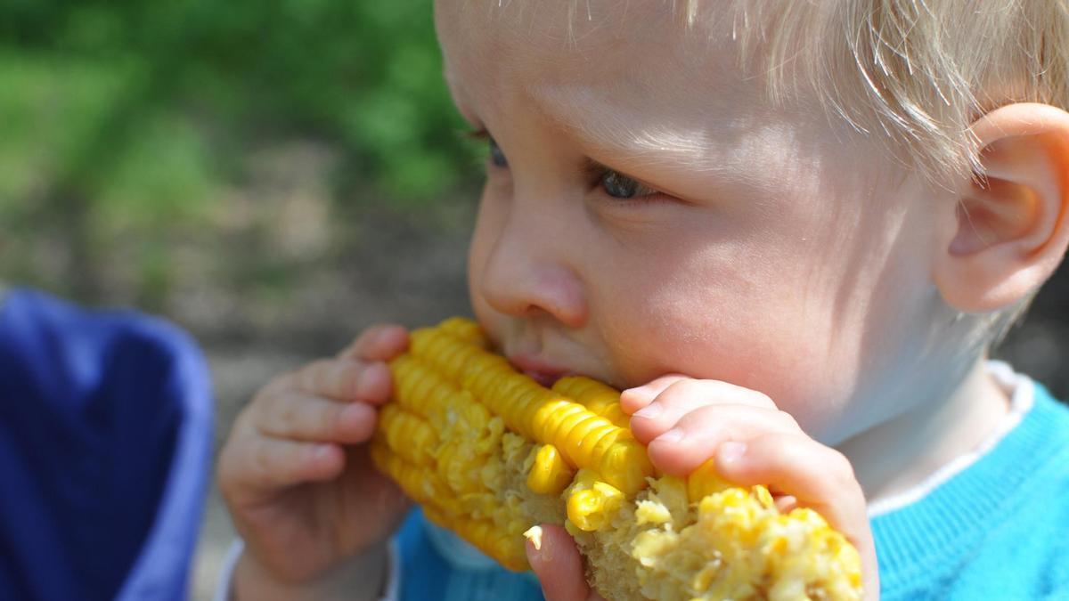 Un niño comiendo una piña de millo.