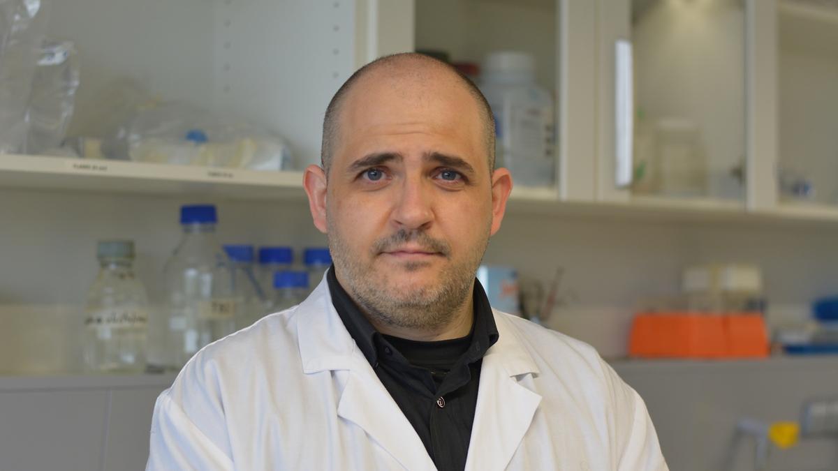 El investigador principal del CiMUS Ricardo Villa Bellosta, en su laboratorio del centro de la USC en Santiago