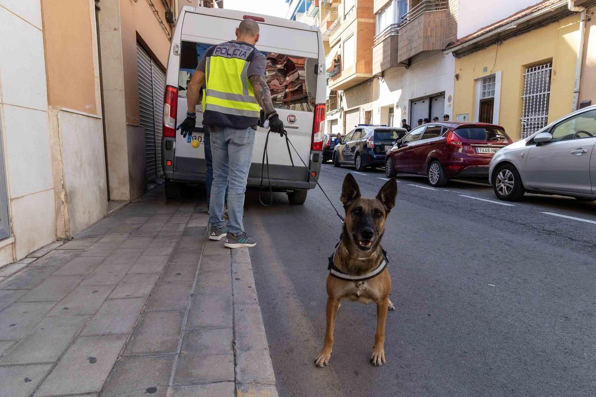 Macrorredada en Alicante contra el tráfico de anabolizantes y otos medicamentos prohibidos