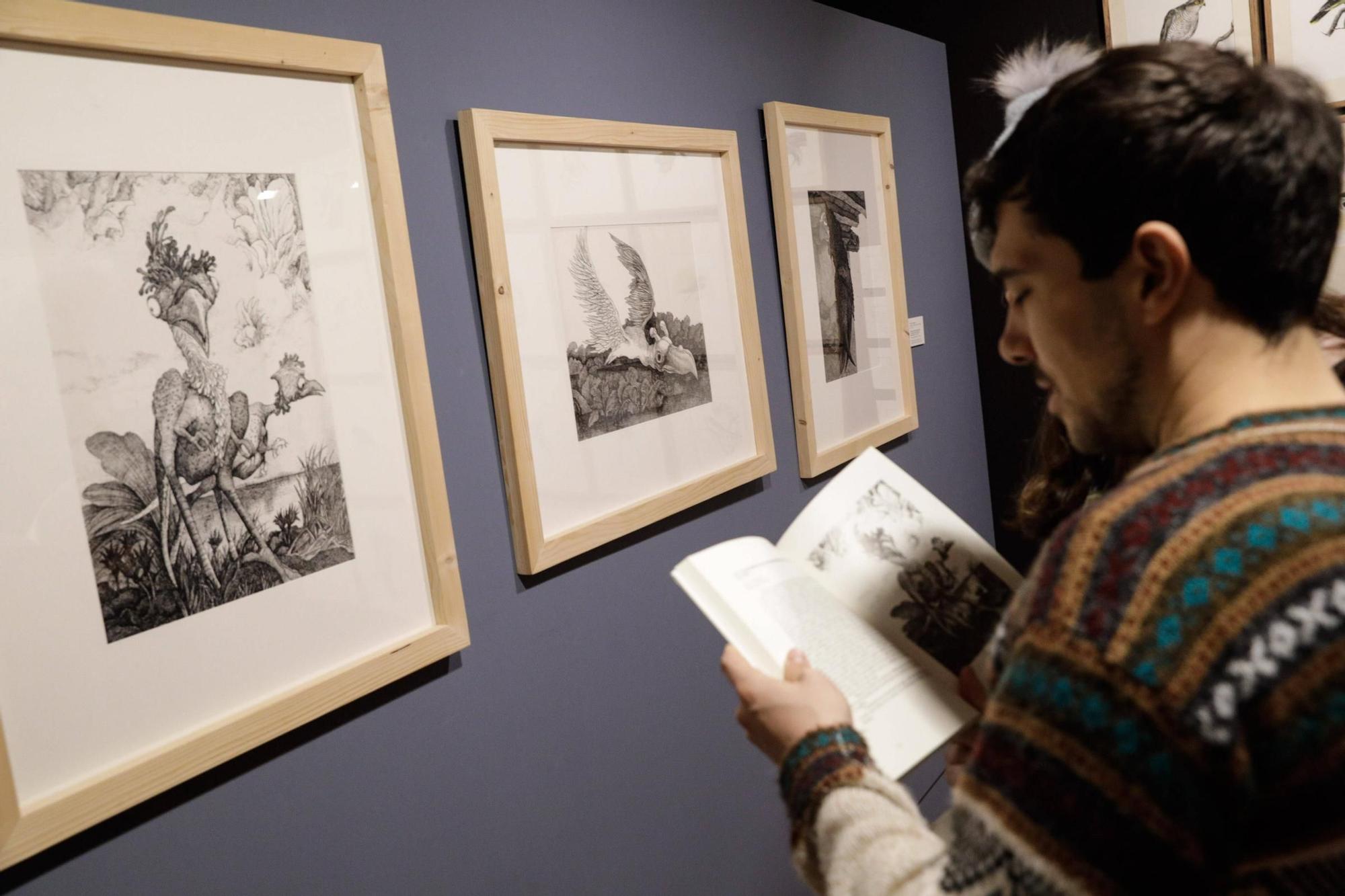 Inauguración exposició "Aves y paisajes" en el Museo Evaristo Valle