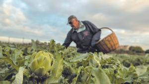 El pla per desburocratitzar el sector agrícola permetrà un estalvi de 430 milions d’euros