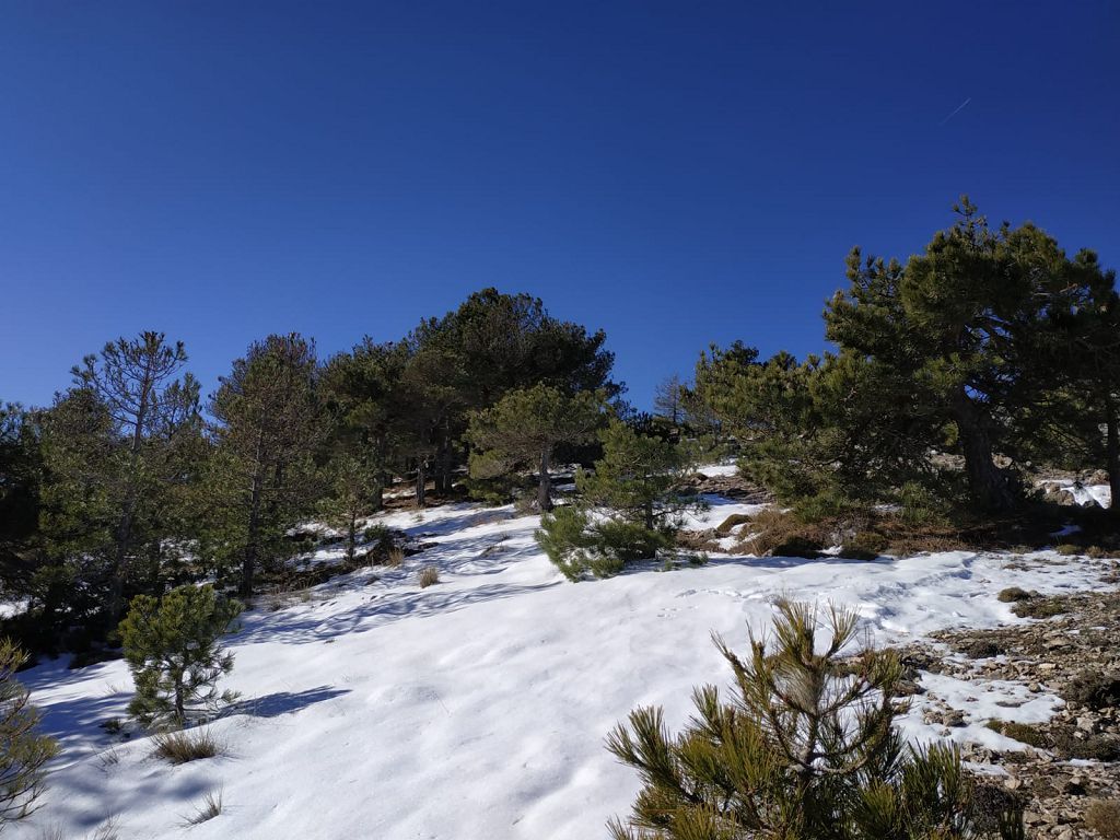 Nieve en la ruta Pico del Obispo y Revolcadores de Moratalla