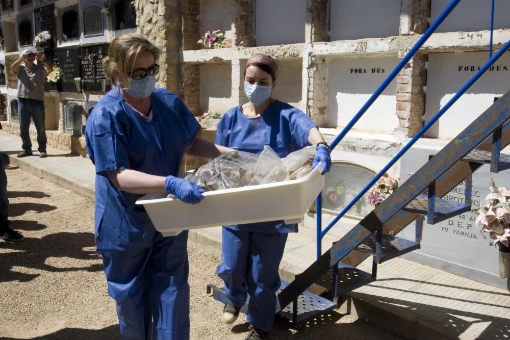 Exhumación fusilados de la guerra civil en el cementerio de Ontinyent