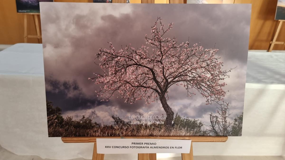 Antonio David Taño Felipe ganador de la XXV edición del Concurso de Fotografía “Almendro en Flor 2022”