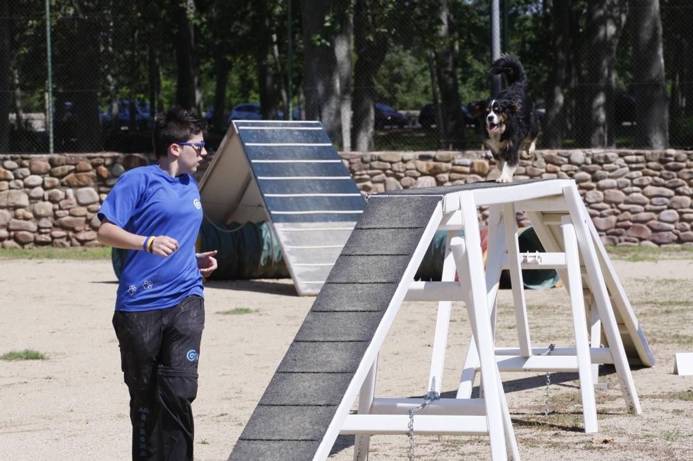 I Marxa Solidària Canina de Diari de Girona