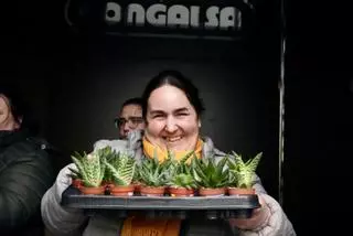 Plantas que unen a Congalsa y Ambar en la celebración del Día de la Mujer