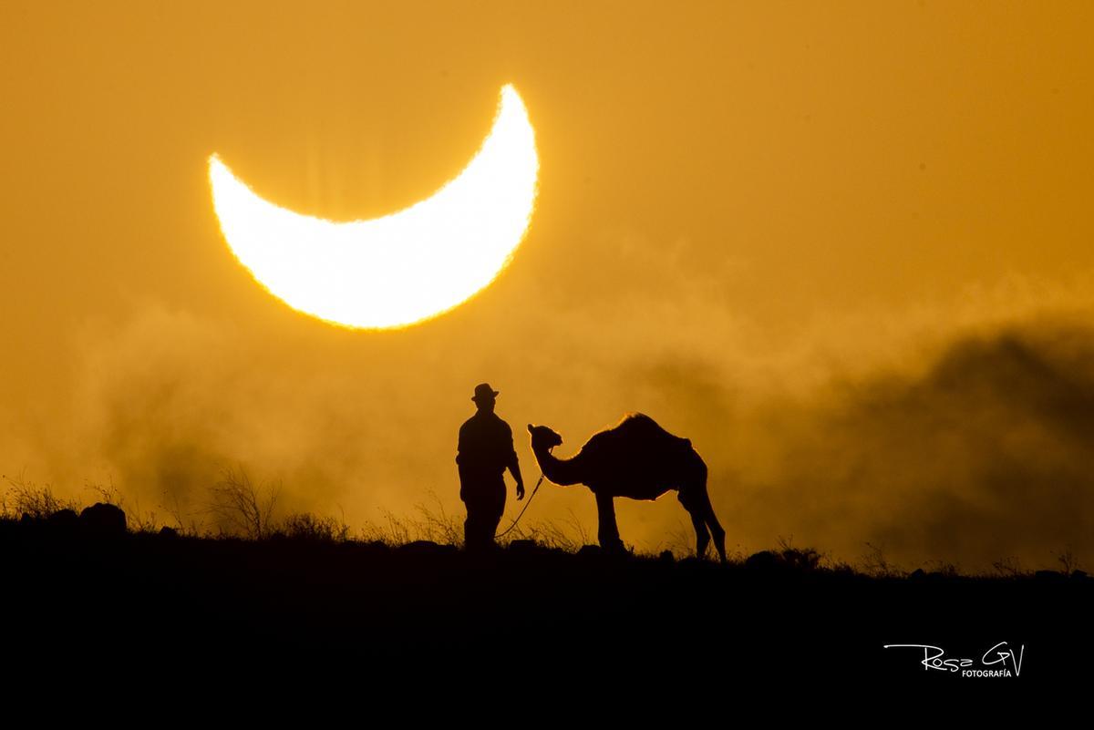 Eclipse solar con camello en Lanzarote