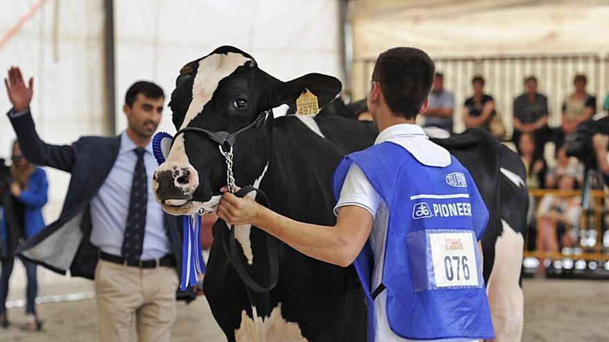 Feiradeza vuelve en septiembre e incluye un certamen autonómico