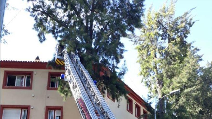 Bomberos actuando en los edificios de Vistabella