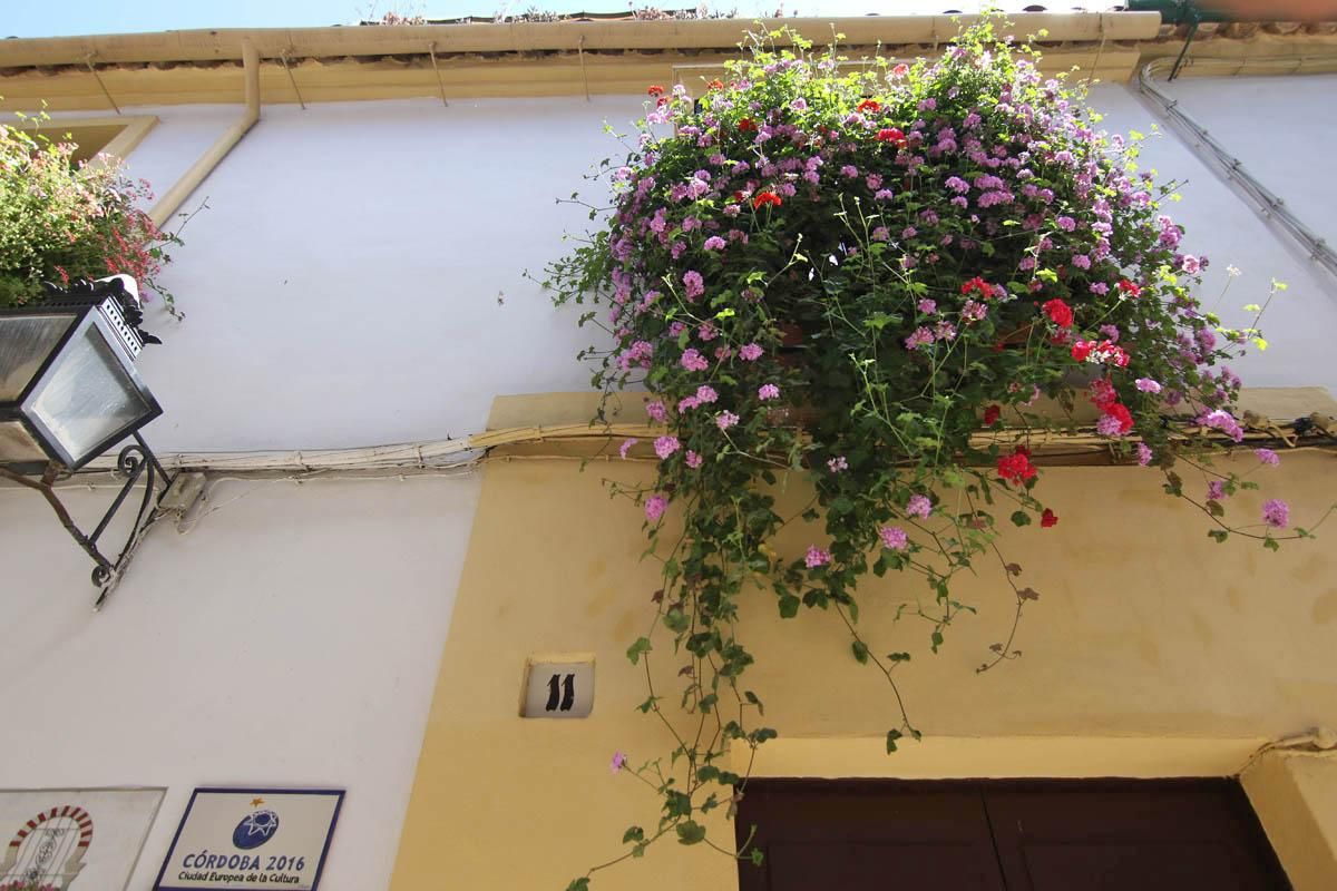 Fotogalería / Concurso municipal de Rejas y Balcones