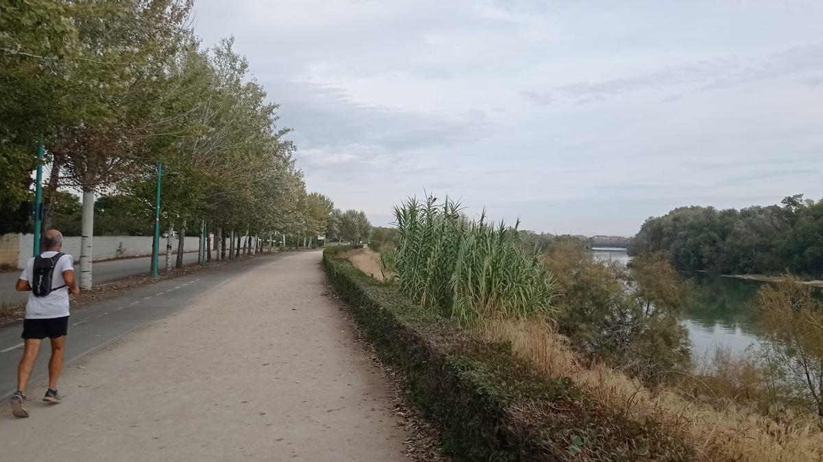 Nubes desde el Anillo Verde Norte, junto al Parque Deportivo Ebro