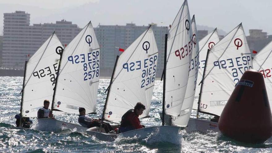 Flota de optimist en la bahía de San Lorenzo.