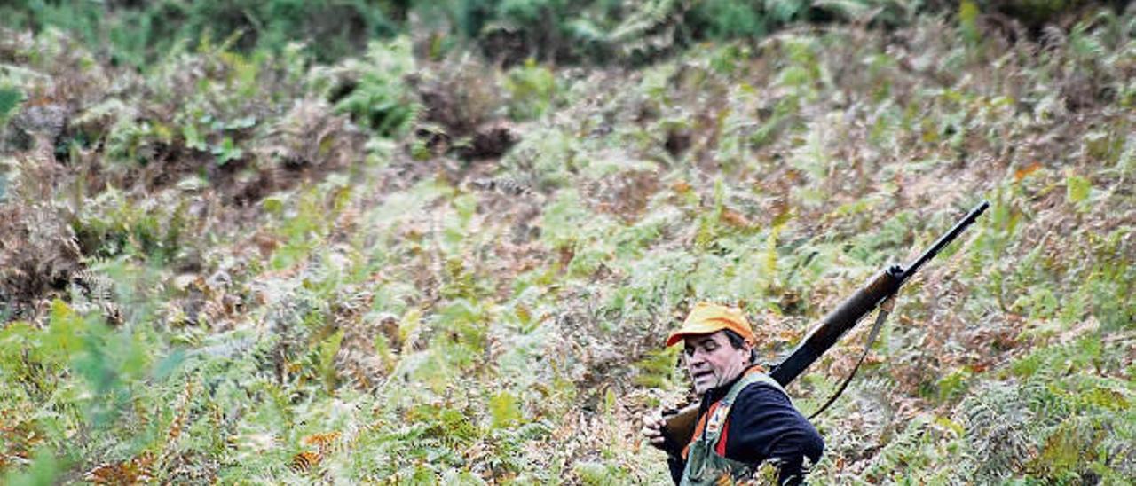 Rafael Otero, en el monte de Meaño.  // Iñaki Abella