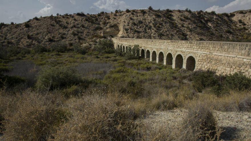 El pantano d´Elx, descubriendo el oasis