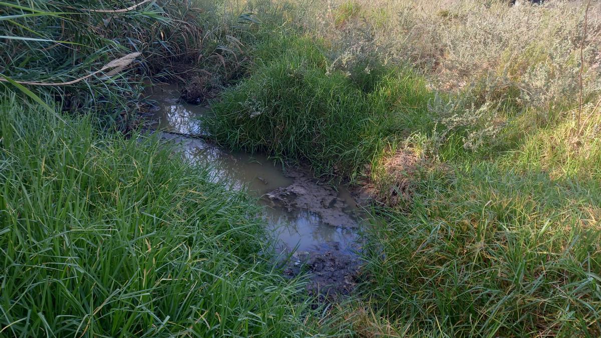 Vertido de fecales registrado al finales de mayo en el río Seco