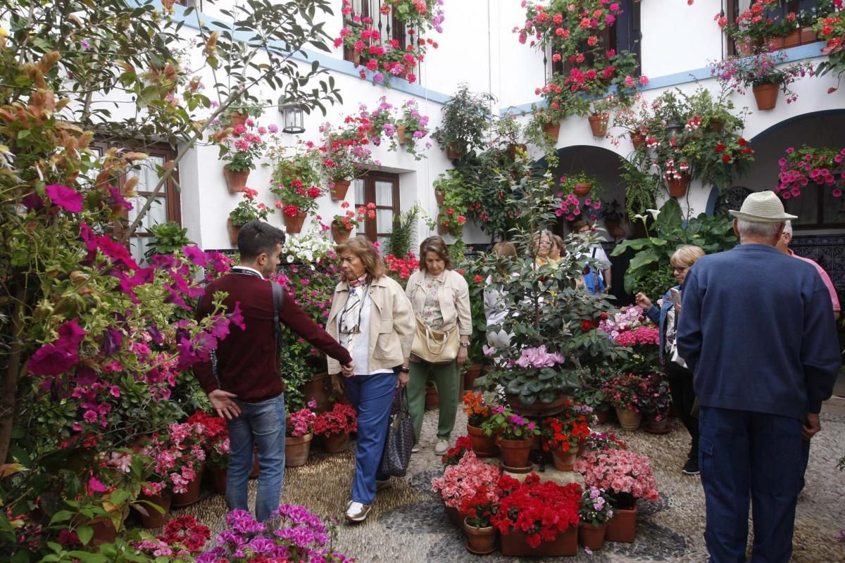 Paseando por los patios de San Andrés y el Realejo