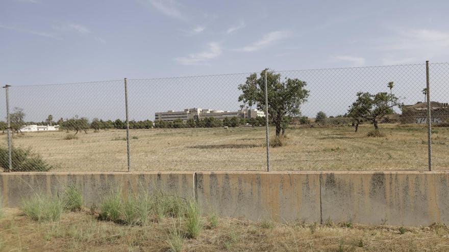 El Ayuntamiento de Palma descarta construir el recinto ferial en Nou Llevant y elige Son Llàtzer