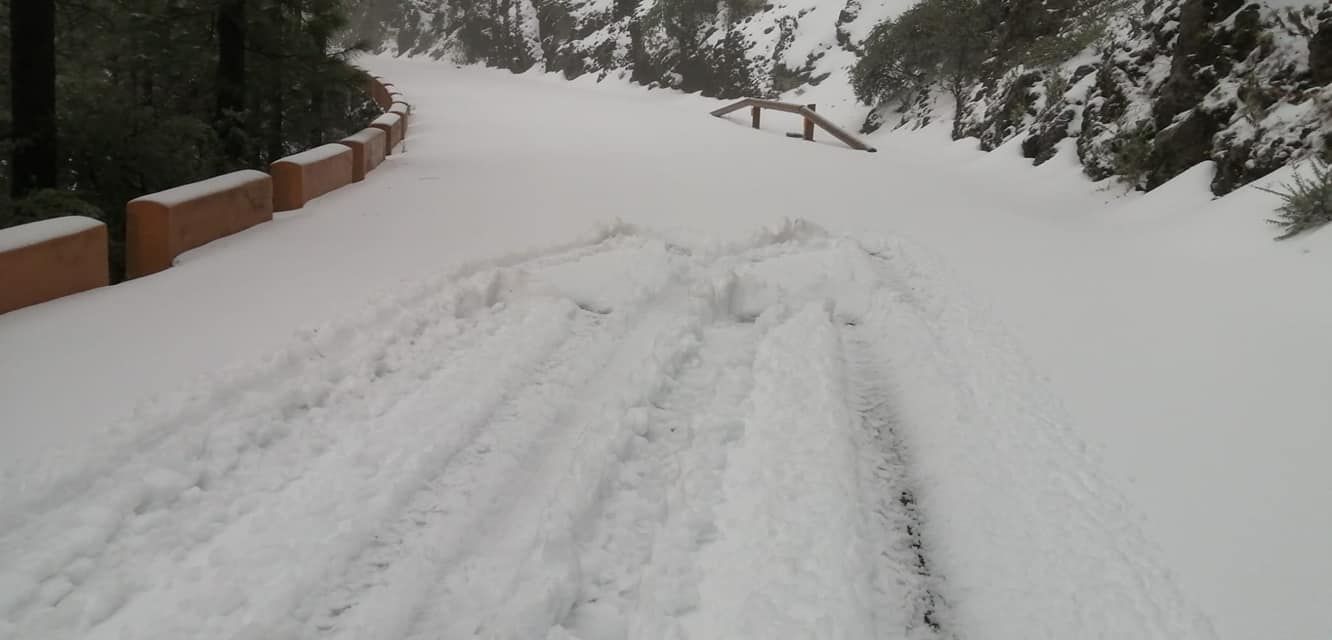 Las imágenes de la nevada en Tenerife